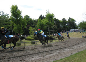 両ヶ池の草競馬