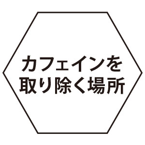 カフェインを取り除く場所